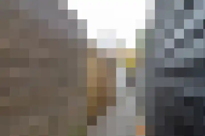 Van Hogendorplaan 19 Barneveld thumbnail 36