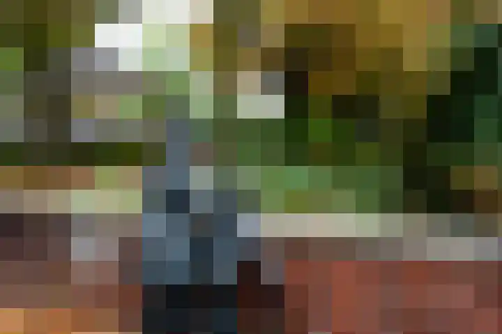 Van Hogendorplaan 19 Barneveld thumbnail 39