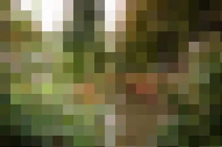 Van Hogendorplaan 19 Barneveld thumbnail 41