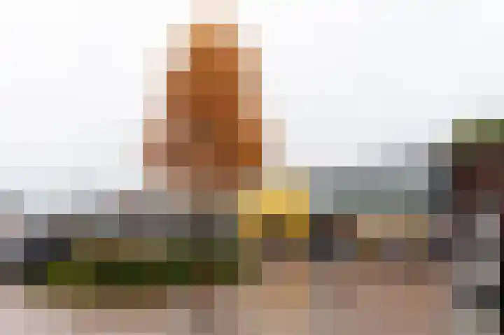Van Hogendorplaan 19 Barneveld thumbnail 42