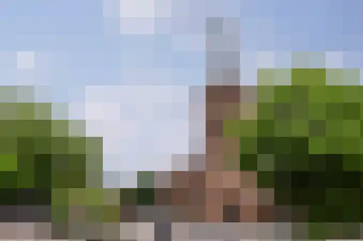 Van Hogendorplaan 19 Barneveld thumbnail 44