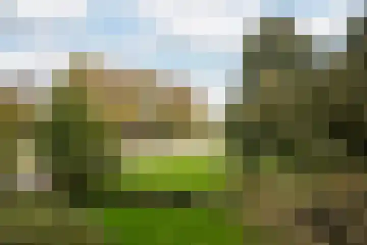 van Hogendorplaan 198 Vlaardingen thumbnail 20