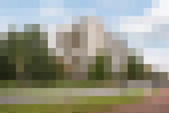 van Hogendorplaan 198 Vlaardingen thumbnail 21