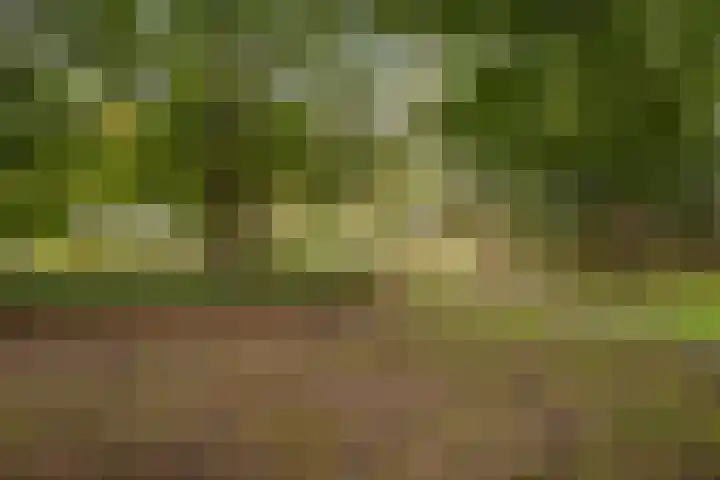 van Hogendorplaan 198 Vlaardingen thumbnail 6