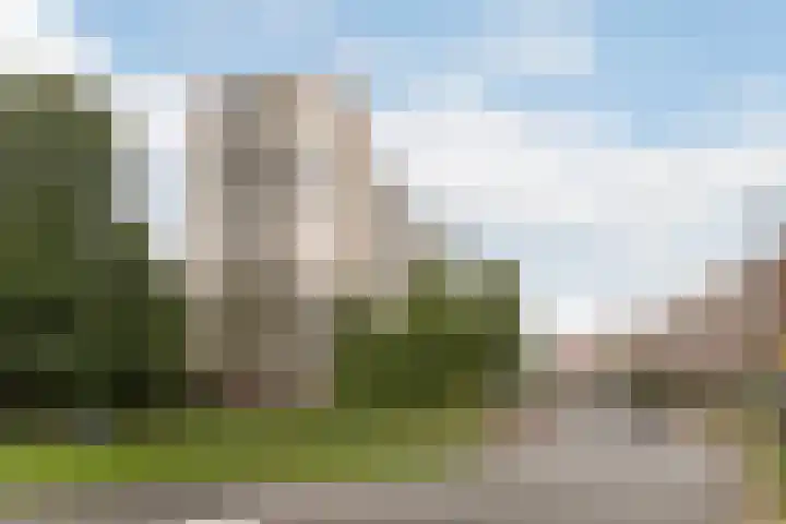 van Hogendorplaan 198 Vlaardingen thumbnail 7