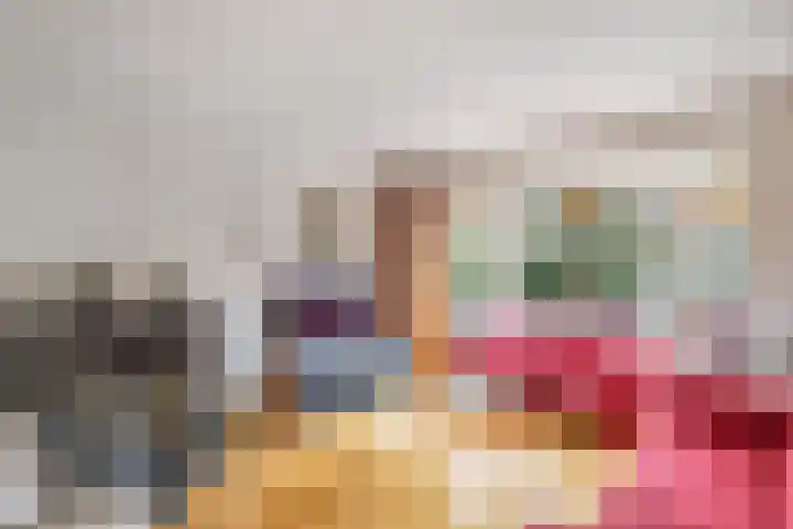 Van Hogendorplaan 2 Huizen thumbnail 10