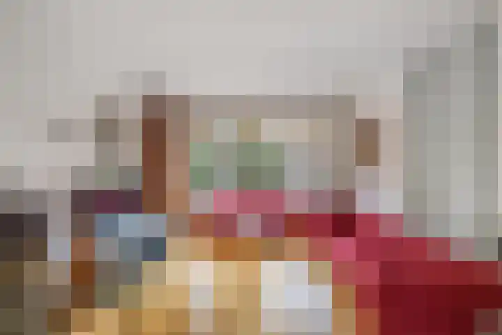 Van Hogendorplaan 2 Huizen thumbnail 11