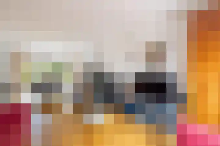 Van Hogendorplaan 2 Huizen thumbnail 12