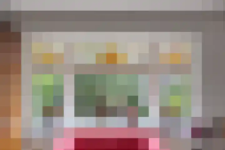 Van Hogendorplaan 2 Huizen thumbnail 13