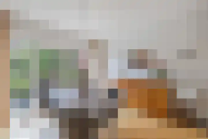 Van Hogendorplaan 2 Huizen thumbnail 14