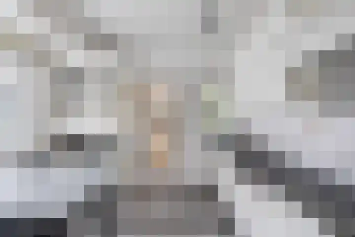 Van Hogendorplaan 2 Huizen thumbnail 15