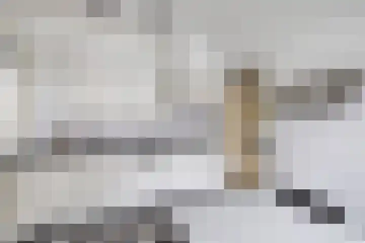 Van Hogendorplaan 2 Huizen thumbnail 17