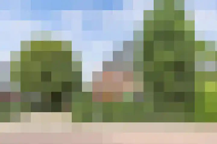 Van Hogendorplaan 2 Huizen thumbnail 4
