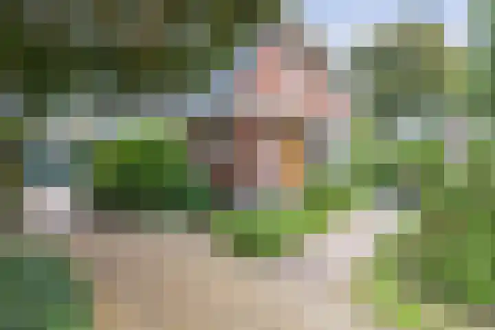 Van Hogendorplaan 2 Huizen thumbnail 5