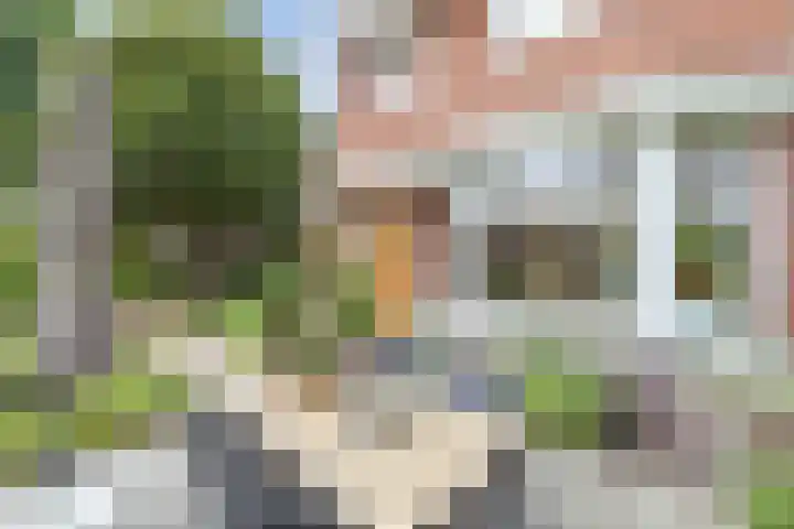 Van Hogendorplaan 2 Huizen thumbnail 6