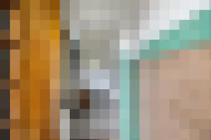 Van Hogendorplaan 2 Huizen thumbnail 7