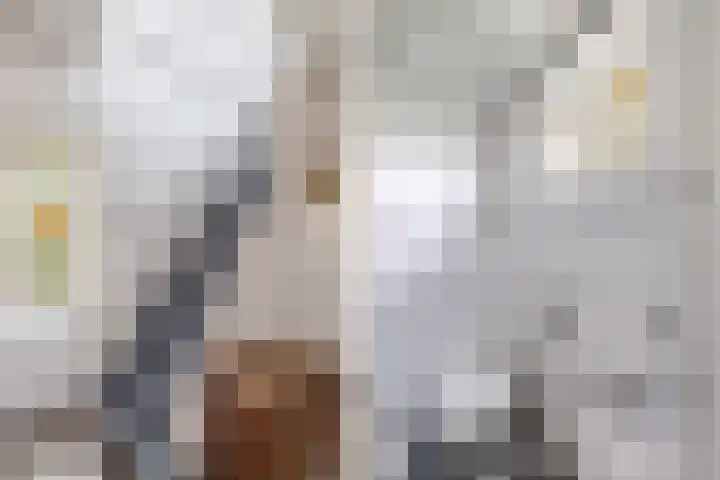Van Hogendorplaan 2 Huizen thumbnail 8