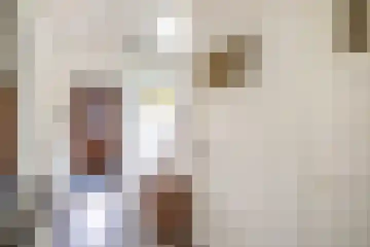 Van Hogendorplaan 2 Huizen thumbnail 9