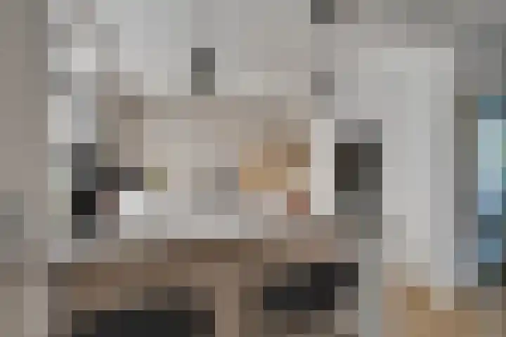 van Hogendorplaan 20 Zwijndrecht thumbnail 10