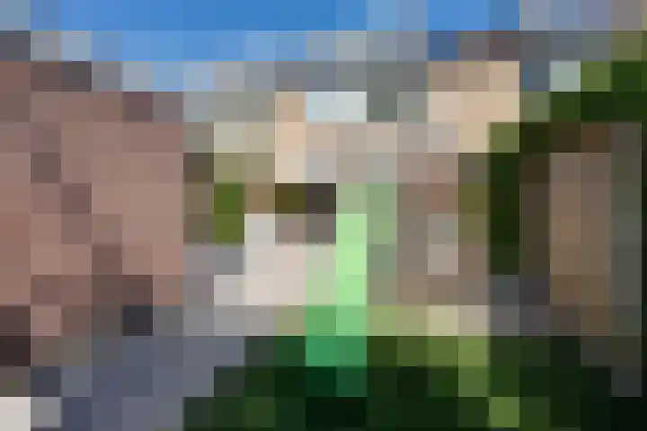 van Hogendorplaan 20 Zwijndrecht thumbnail 18