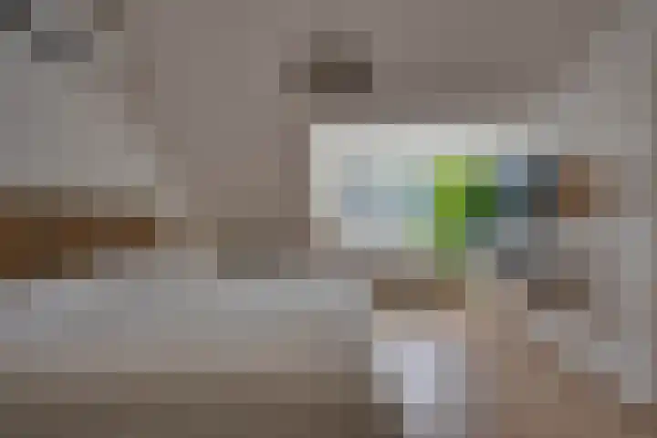 van Hogendorplaan 20 Zwijndrecht thumbnail 34