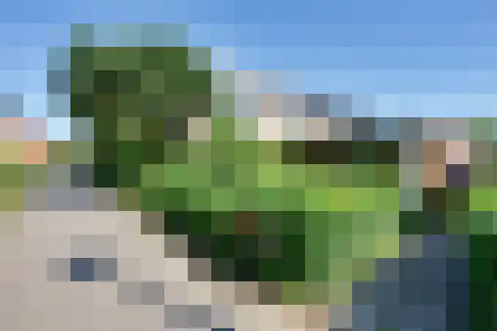van Hogendorplaan 20 Zwijndrecht thumbnail 37