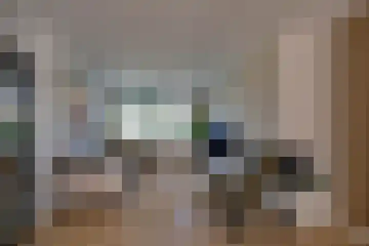 van Hogendorplaan 20 Zwijndrecht thumbnail 5