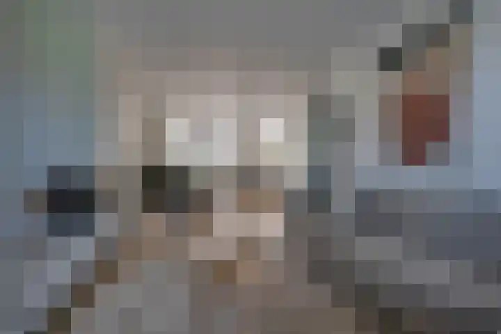 van Hogendorplaan 20 Zwijndrecht thumbnail 6