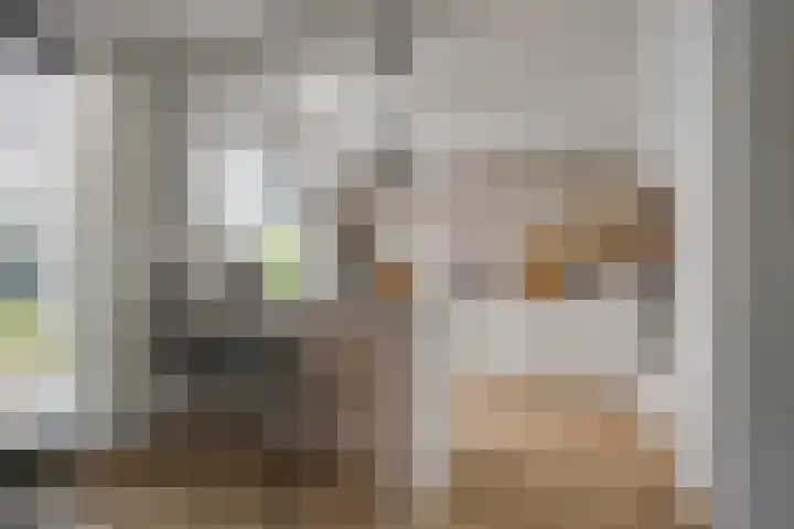 van Hogendorplaan 20 Zwijndrecht thumbnail 9