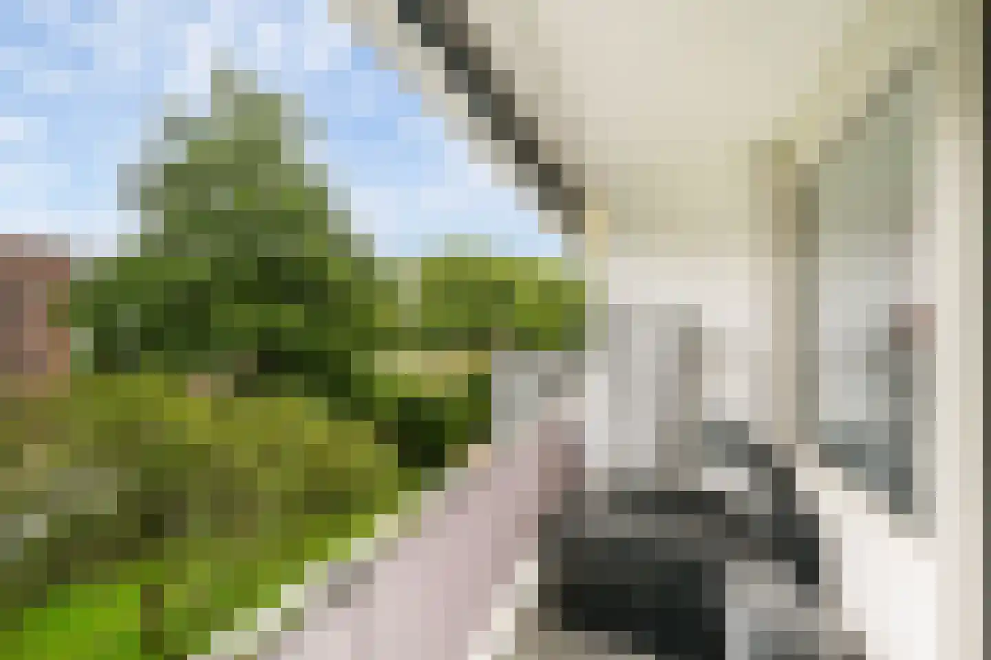 van Hogendorplaan 206 Vlaardingen thumbnail 13