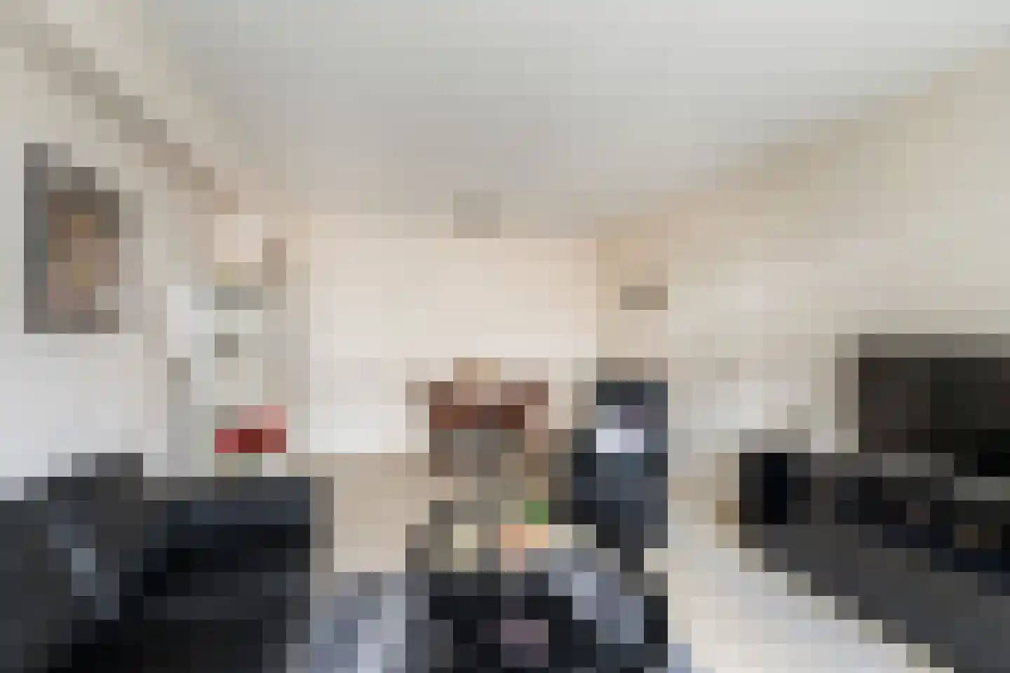 van Hogendorplaan 206 Vlaardingen thumbnail 15