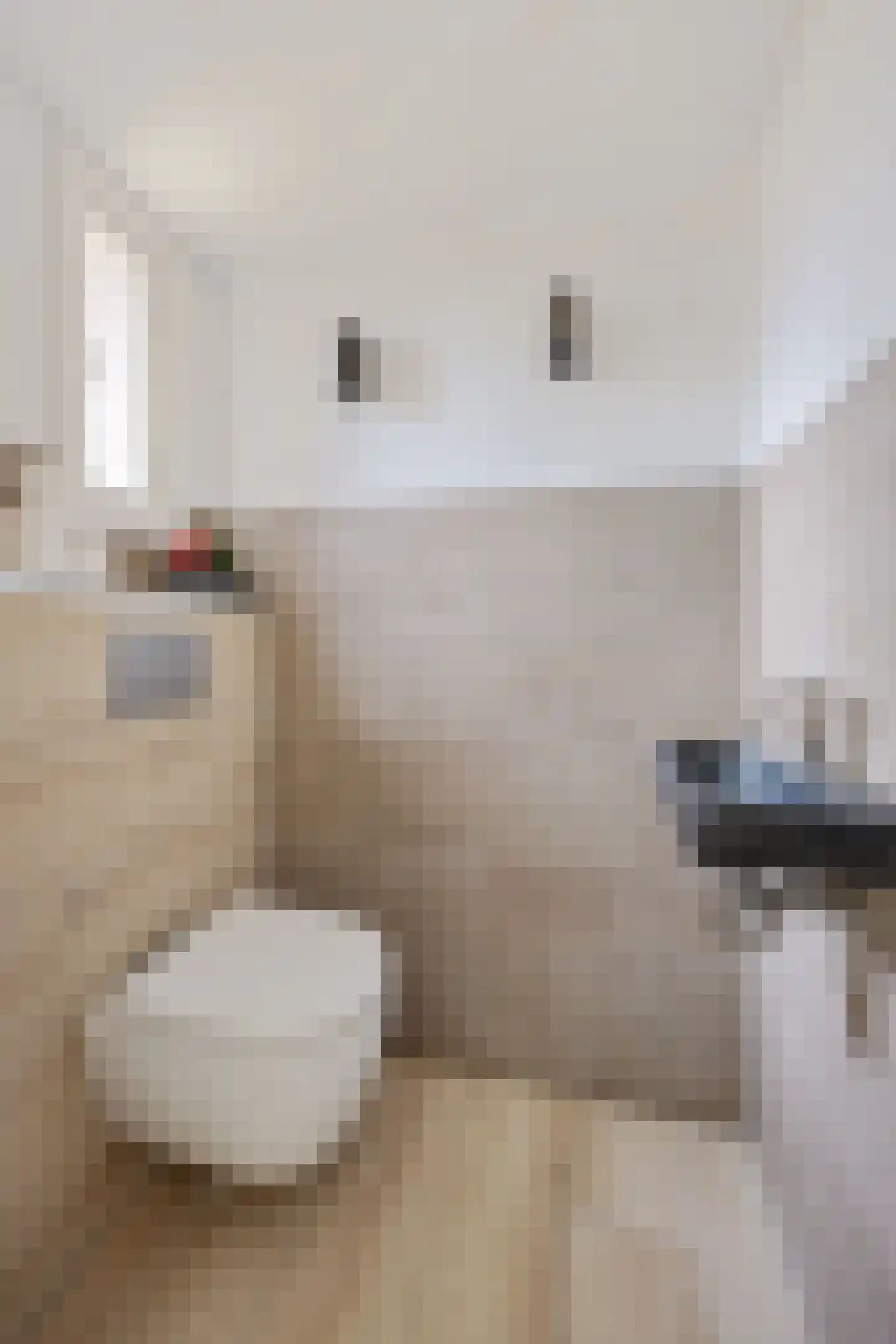 Van Hogendorplaan 24 Huizen thumbnail 13