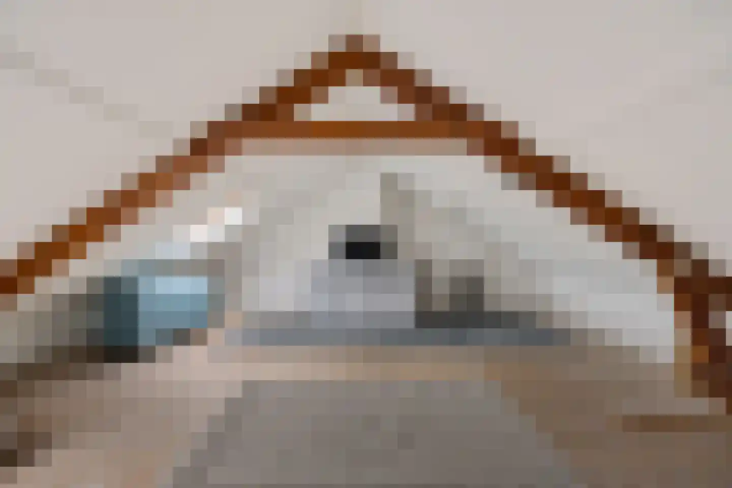Van Hogendorplaan 24 Huizen thumbnail 23