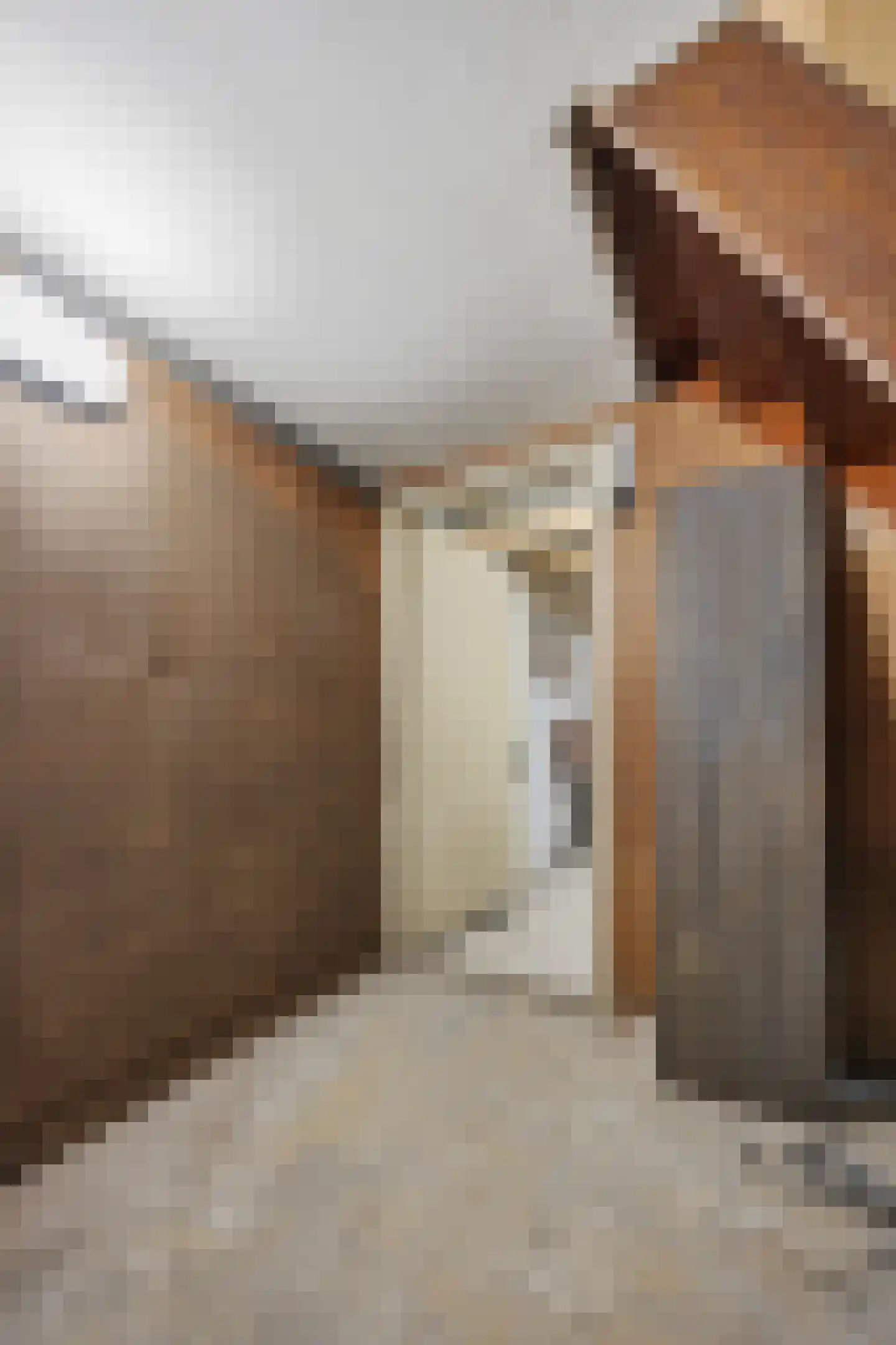 Van Hogendorplaan 24 Huizen thumbnail 27