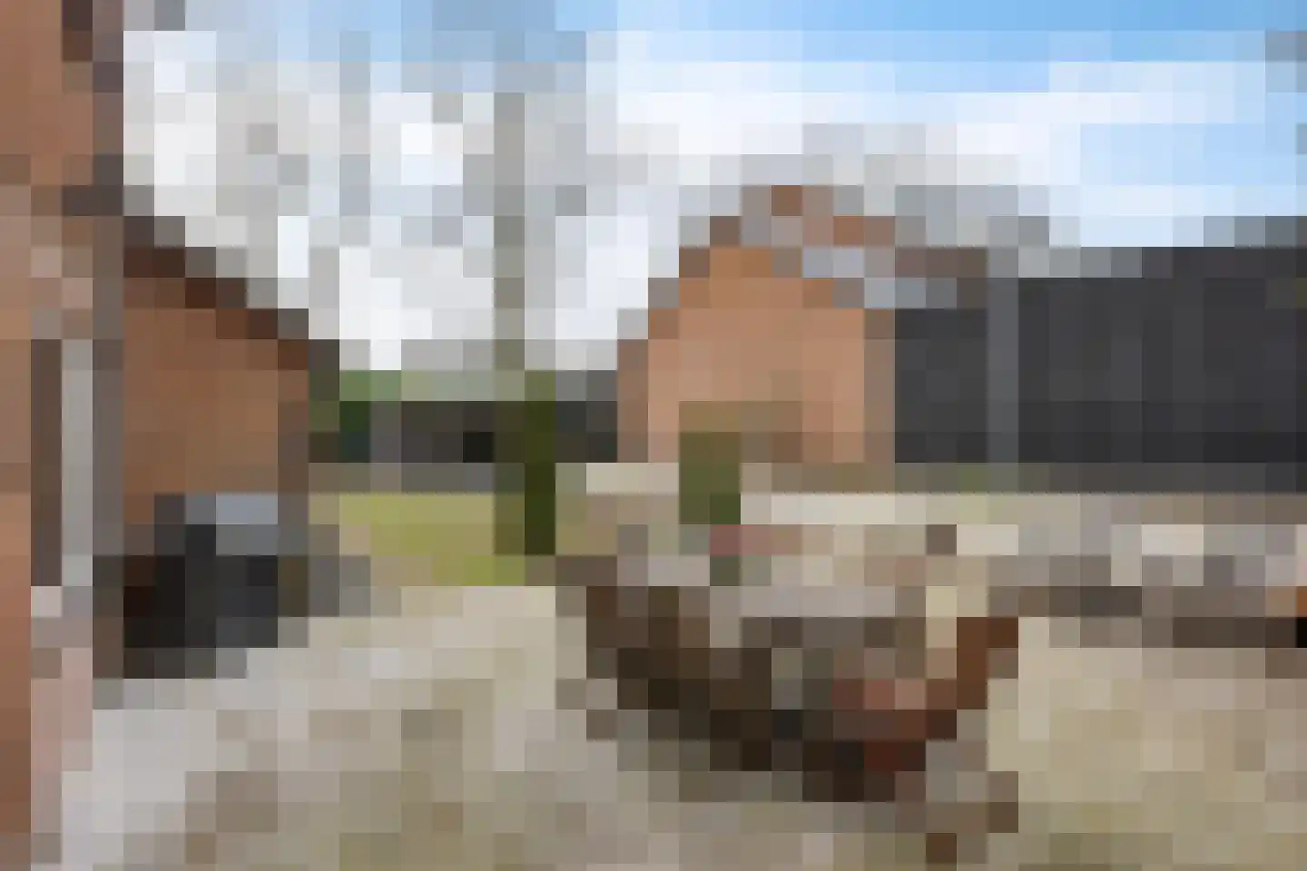 Van Hogendorplaan 24 Huizen thumbnail 28
