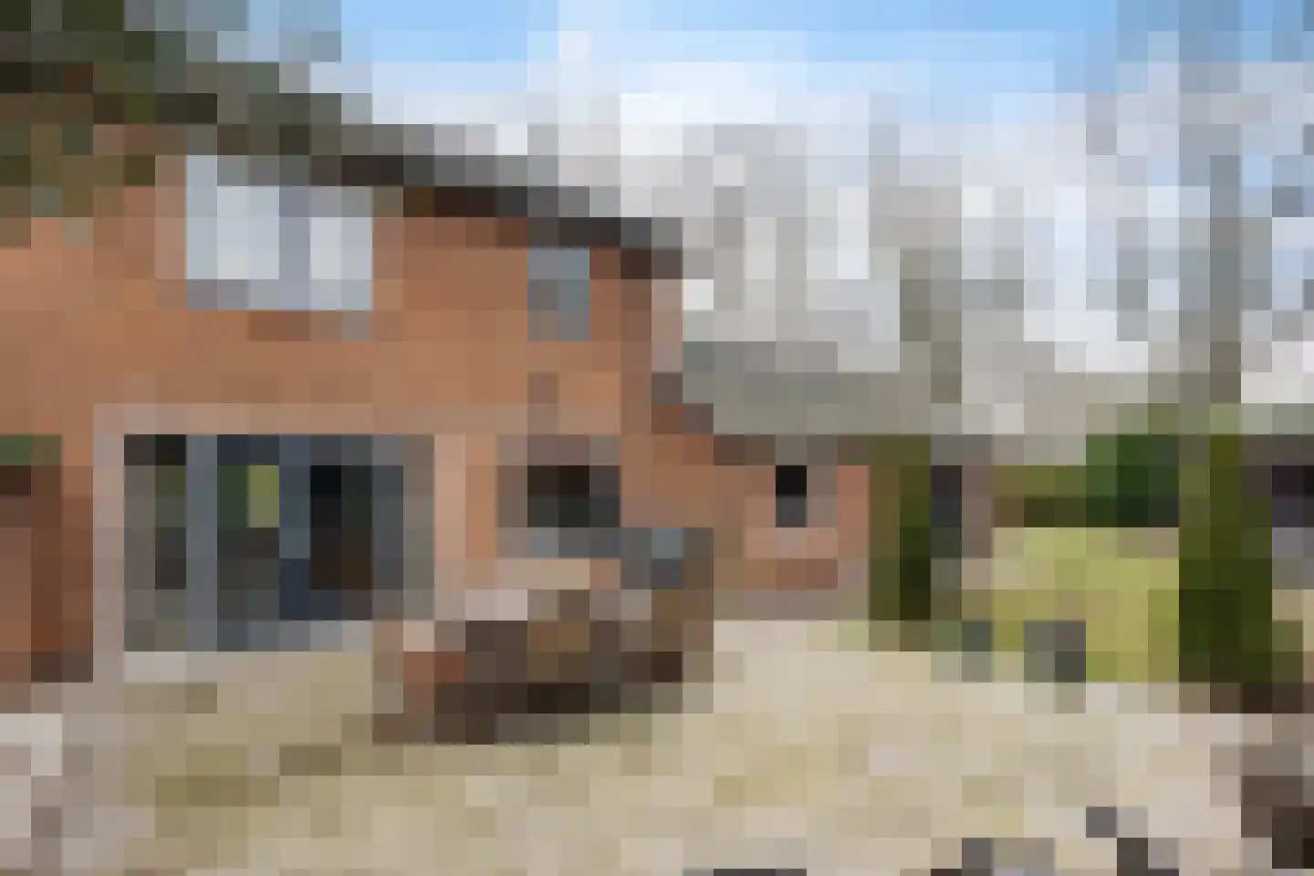 Van Hogendorplaan 24 Huizen thumbnail 29