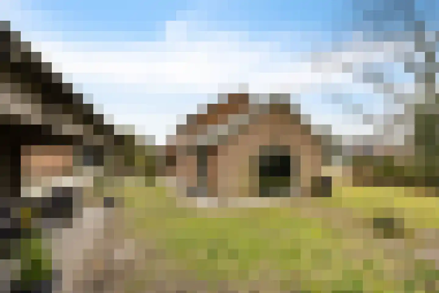 Van Hogendorplaan 24 Huizen thumbnail 32