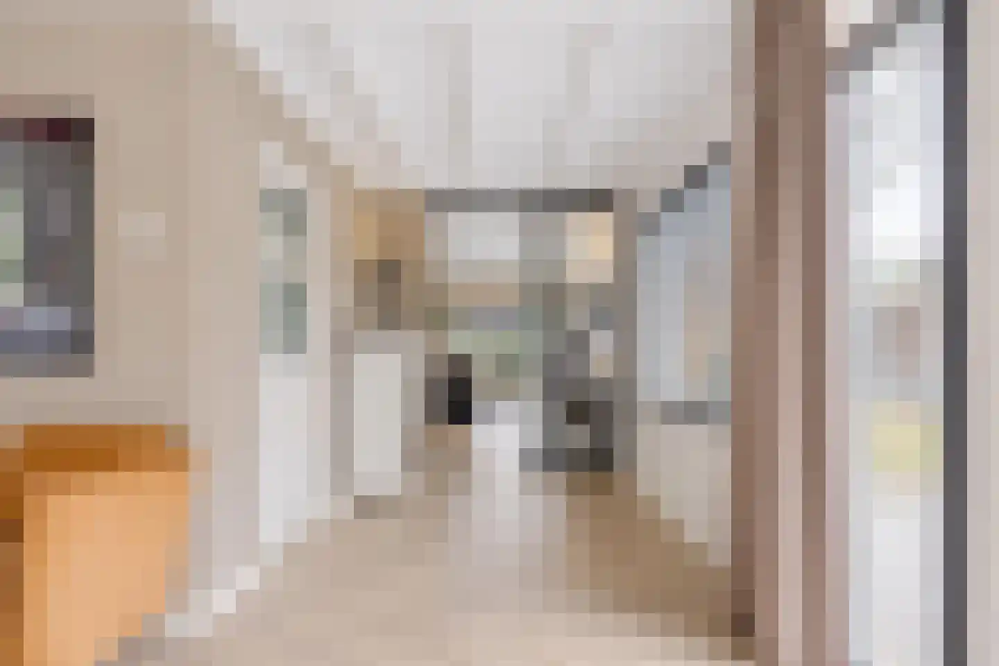 Van Hogendorplaan 24 Huizen thumbnail 9