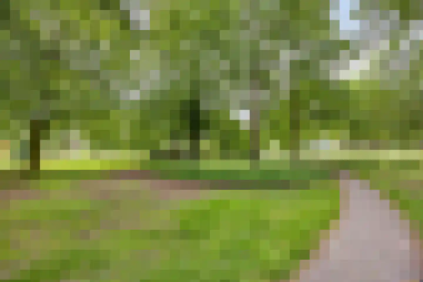 van Hogendorplaan 294 Vlaardingen thumbnail 25