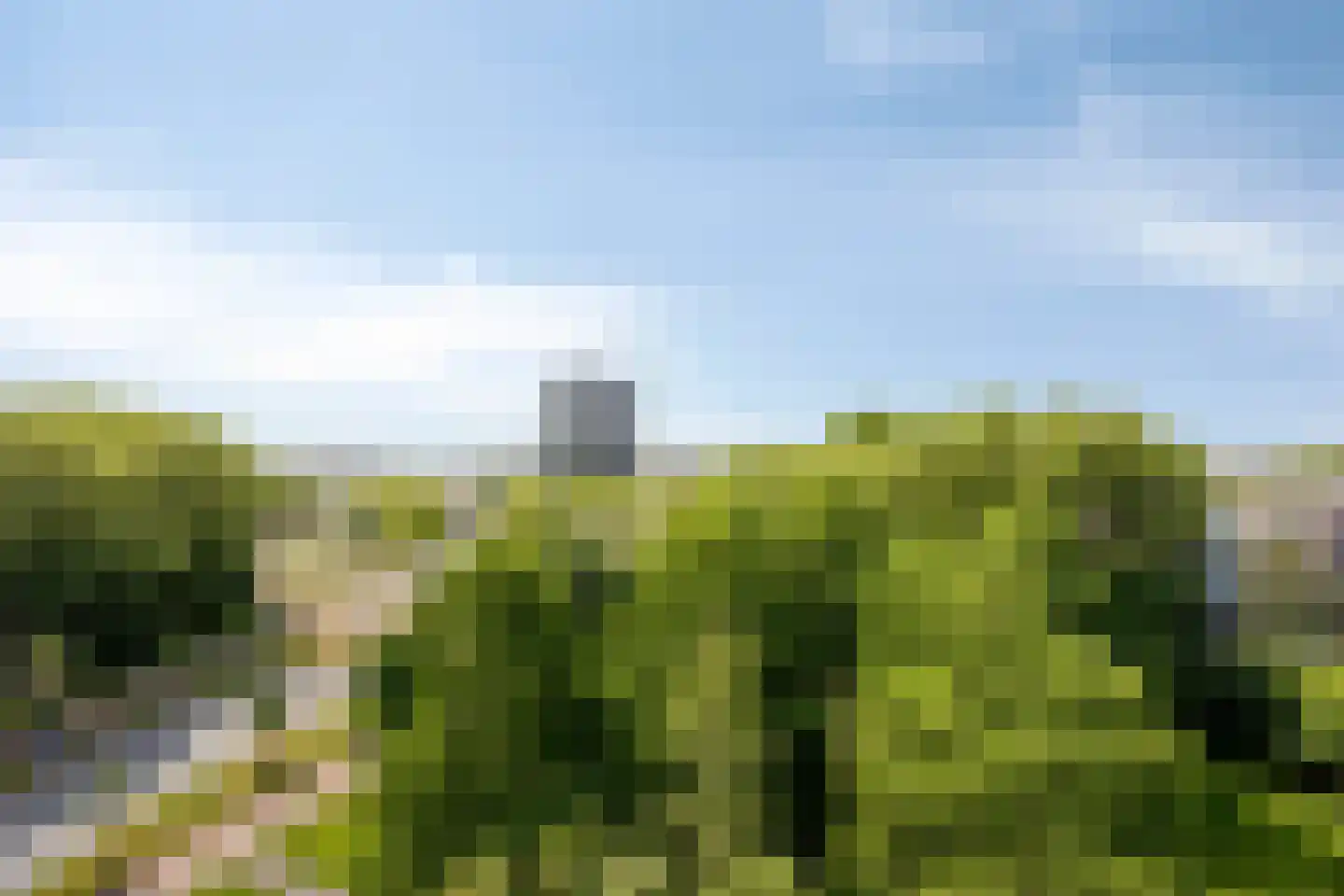 van Hogendorplaan 294 Vlaardingen thumbnail 4