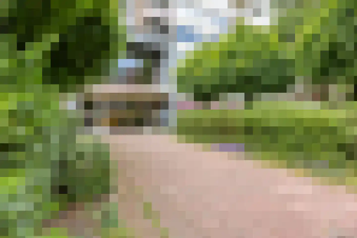 van Hogendorplaan 294 Vlaardingen thumbnail 5