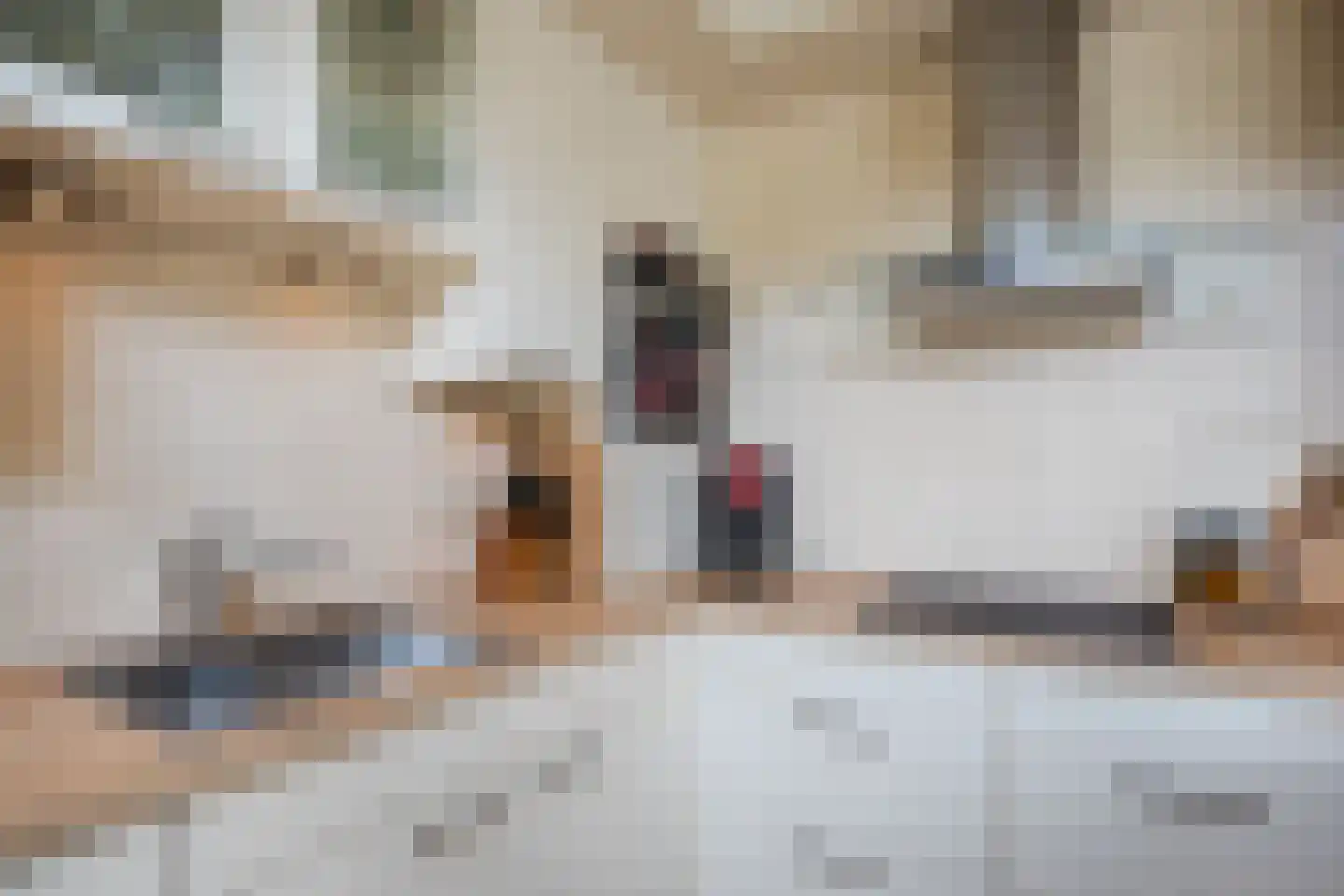 van Hogendorplaan 30 Lochem thumbnail 12