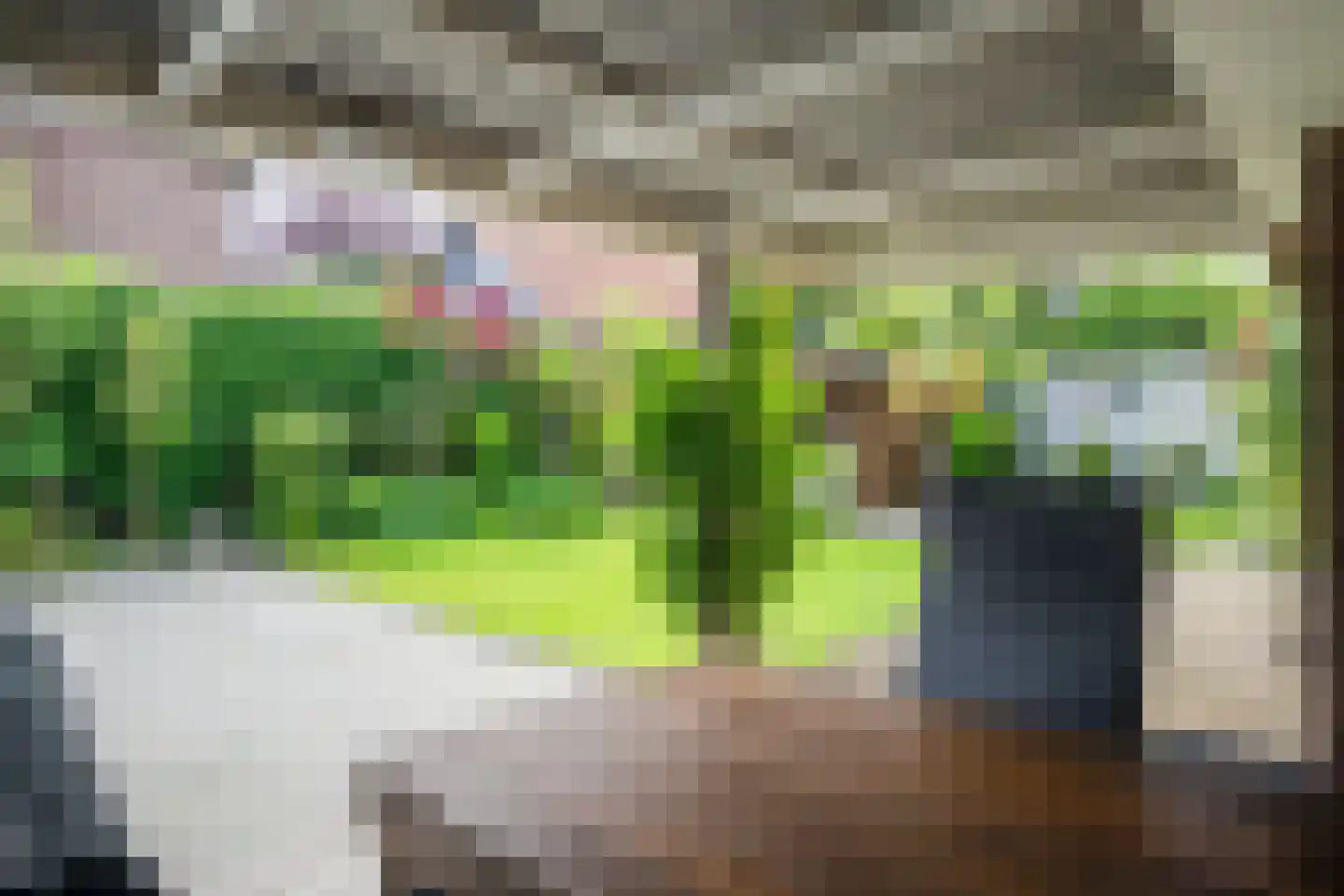 van Hogendorplaan 30 Lochem thumbnail 30
