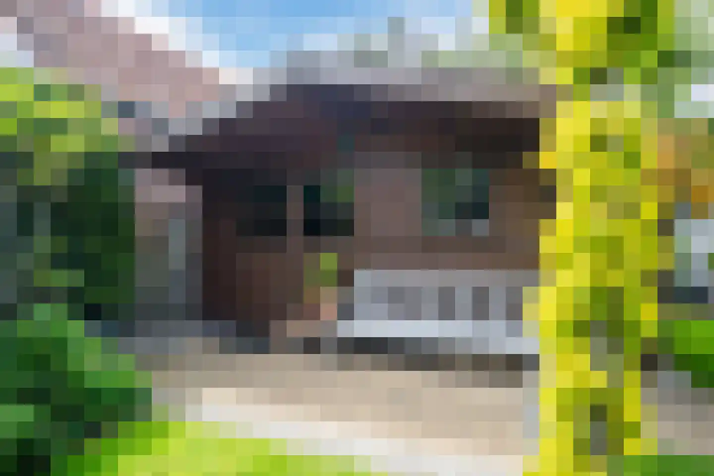 van Hogendorplaan 30 Lochem thumbnail 33