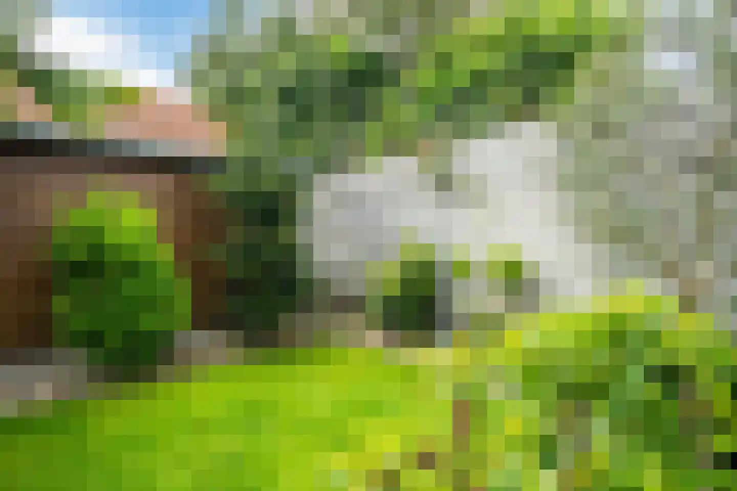 van Hogendorplaan 30 Lochem thumbnail 35