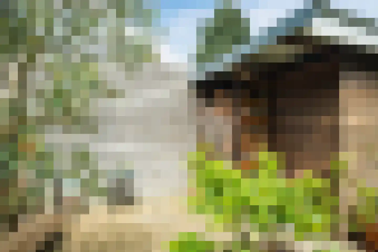 van Hogendorplaan 30 Lochem thumbnail 37