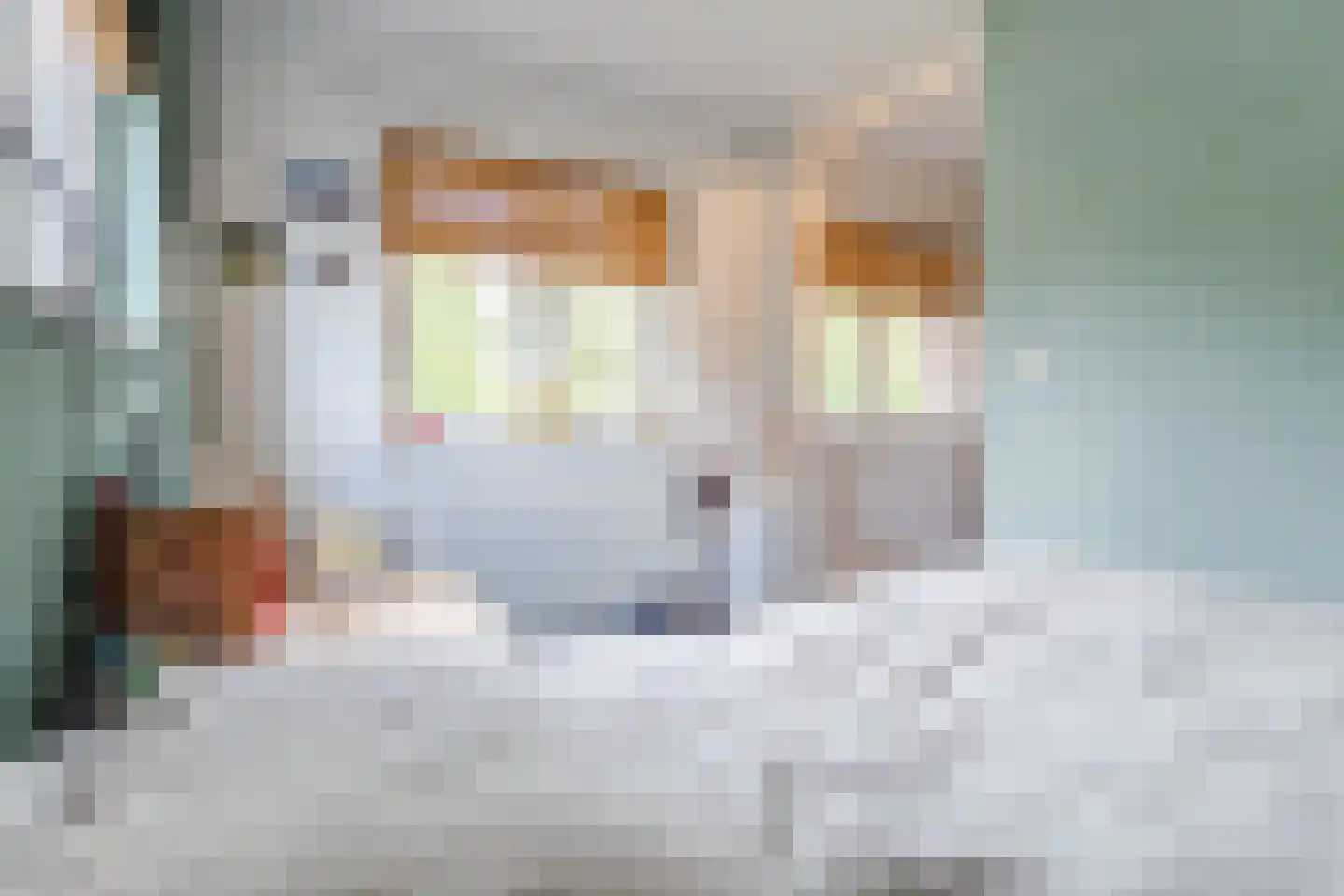 van Hogendorplaan 31 Lochem thumbnail 20