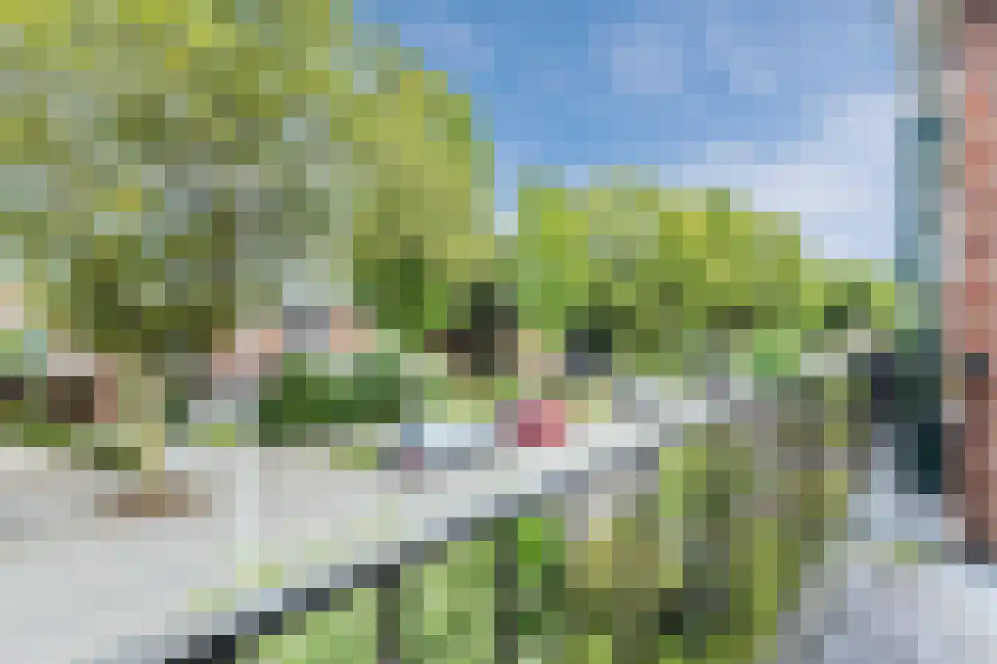 van Hogendorplaan 31 Lochem thumbnail 30