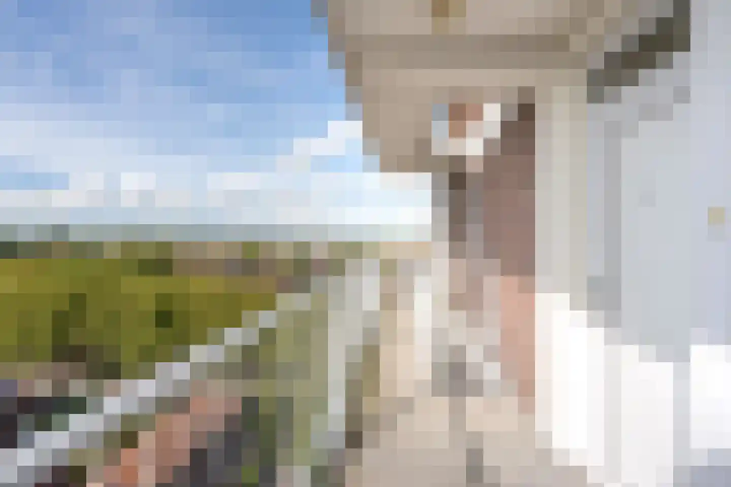 van Hogendorplaan 324 Vlaardingen thumbnail 12