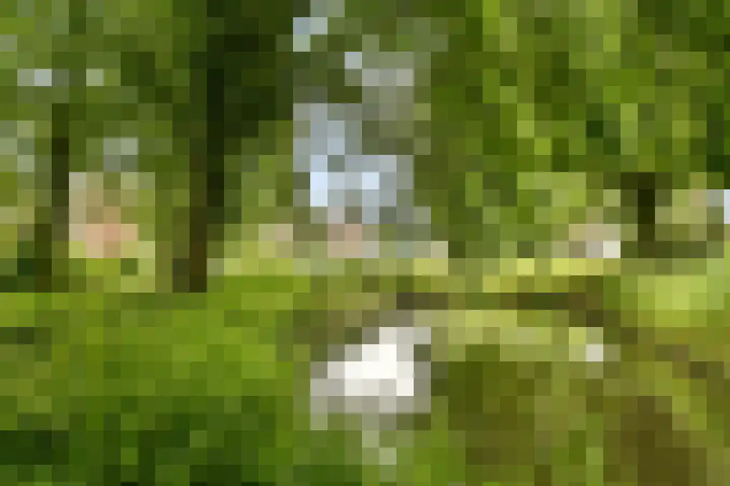 van Hogendorplaan 332 Vlaardingen thumbnail 23